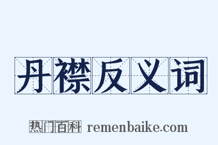 丹襟反义词是什么意思的图片